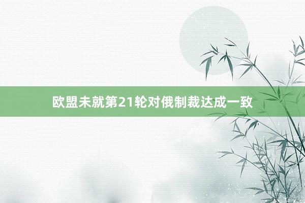 欧盟未就第21轮对俄制裁达成一致