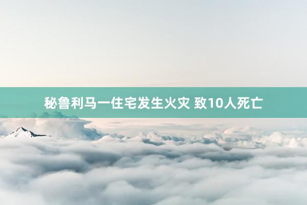 秘鲁利马一住宅发生火灾 致10人死亡