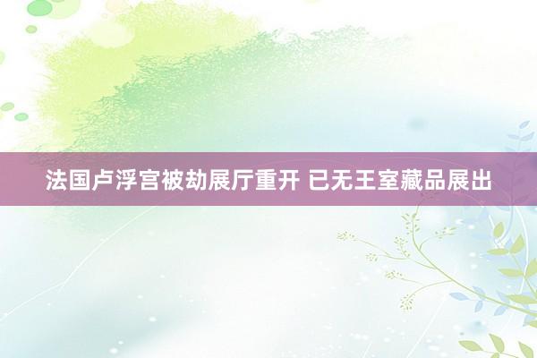 法国卢浮宫被劫展厅重开 已无王室藏品展出