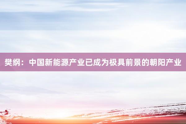 樊纲：中国新能源产业已成为极具前景的朝阳产业