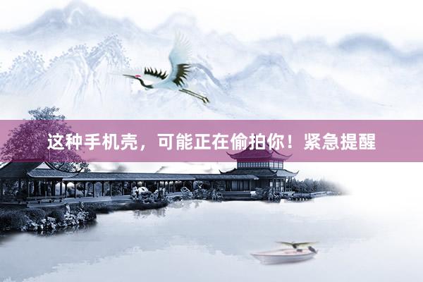 这种手机壳，可能正在偷拍你！紧急提醒