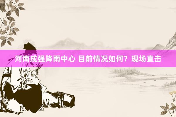 河南成强降雨中心 目前情况如何？现场直击