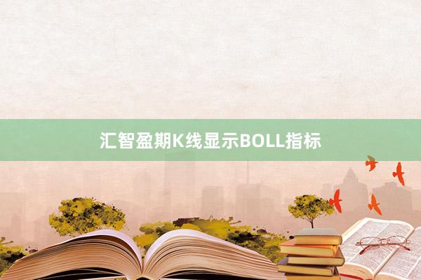 汇智盈期K线显示BOLL指标