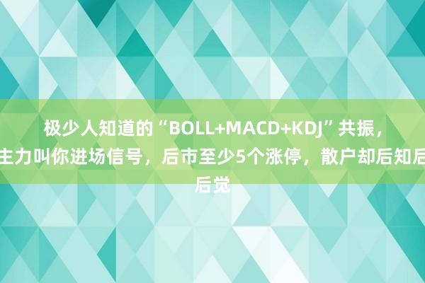 极少人知道的“BOLL+MACD+KDJ”共振，是主力叫你进场信号，后市至少5个涨停，散户却后知后觉