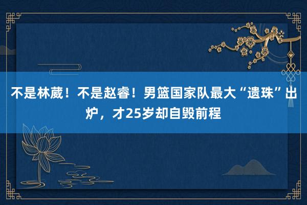 不是林葳！不是赵睿！男篮国家队最大“遗珠”出炉，才25岁却自毁前程