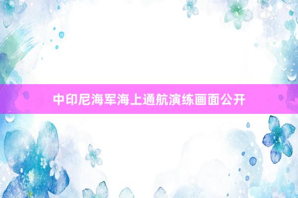 中印尼海军海上通航演练画面公开