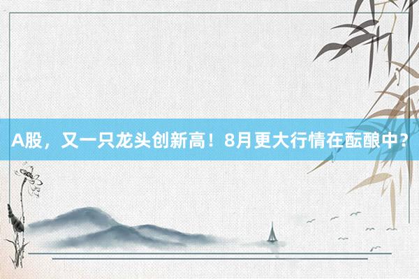 A股，又一只龙头创新高！8月更大行情在酝酿中？