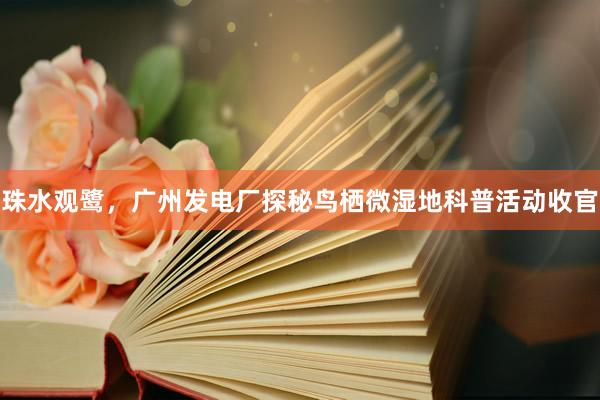 珠水观鹭，广州发电厂探秘鸟栖微湿地科普活动收官