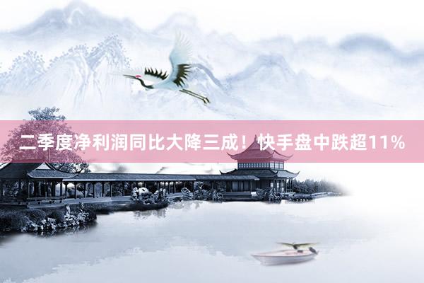 二季度净利润同比大降三成！快手盘中跌超11%