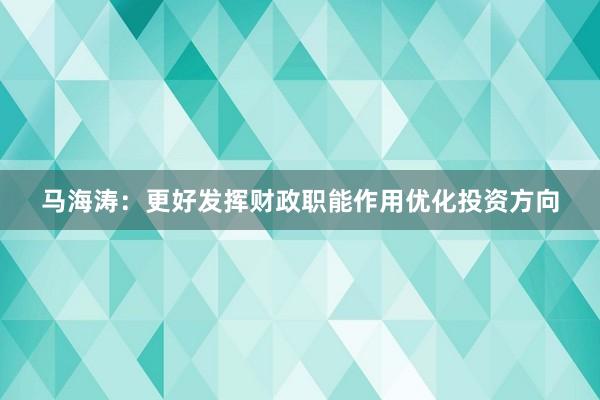 马海涛：更好发挥财政职能作用优化投资方向