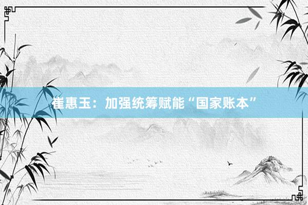 崔惠玉：加强统筹赋能“国家账本”