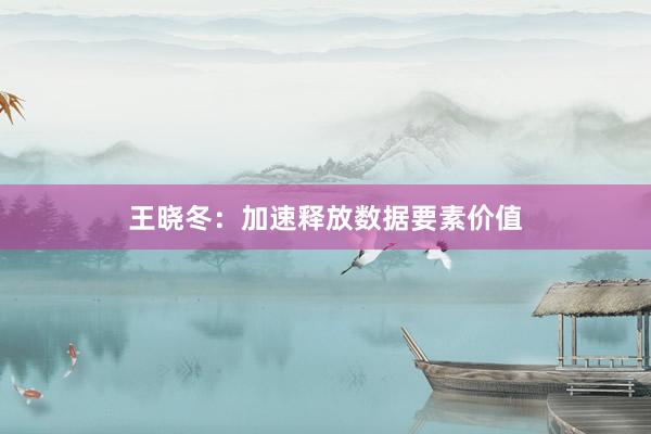 王晓冬：加速释放数据要素价值