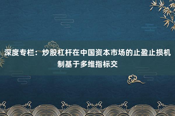 深度专栏：炒股杠杆在中国资本市场的止盈止损机制基于多维指标交