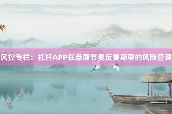 风控专栏：杠杆APP在盘面节奏反复期里的风险管理