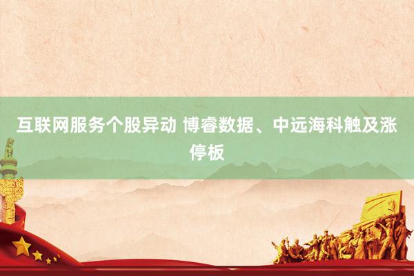 互联网服务个股异动 博睿数据、中远海科触及涨停板