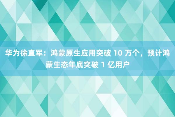 华为徐直军：鸿蒙原生应用突破 10 万个，预计鸿蒙生态年底突破 1 亿用户
