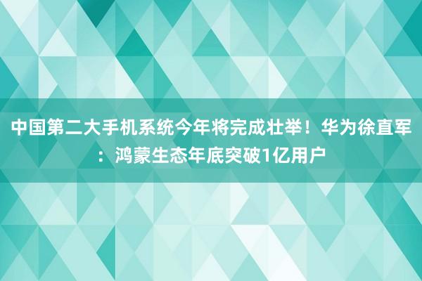 中国第二大手机系统今年将完成壮举！华为徐直军：鸿蒙生态年底突破1亿用户