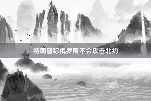 特朗普称俄罗斯不会攻击北约