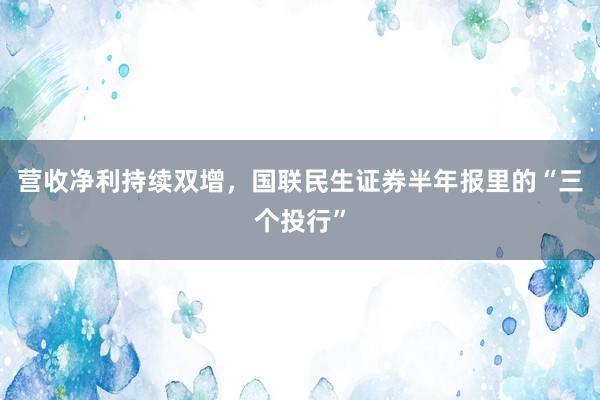 营收净利持续双增，国联民生证券半年报里的“三个投行”
