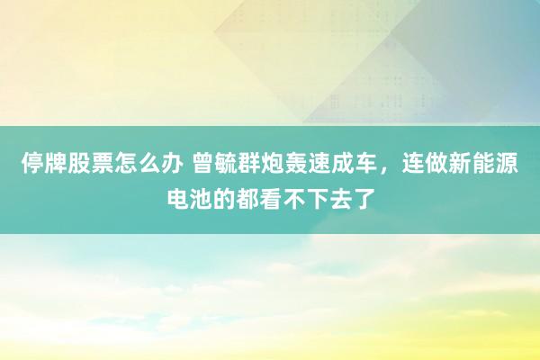 停牌股票怎么办 曾毓群炮轰速成车，连做新能源电池的都看不下去了