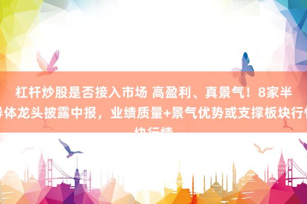 杠杆炒股是否接入市场 高盈利、真景气！8家半导体龙头披露中报，业绩质量+景气优势或支撑板块行情