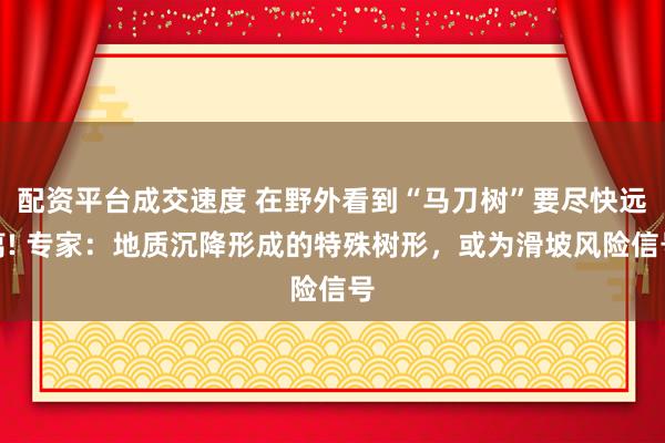 配资平台成交速度 在野外看到“马刀树”要尽快远离! 专家：地质沉降形成的特殊树形，或为滑坡风险信号