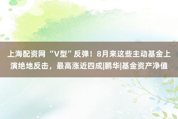 上海配资网 “V型”反弹！8月来这些主动基金上演绝地反击，最高涨近四成|鹏华|基金资产净值
