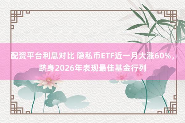 配资平台利息对比 隐私币ETF近一月大涨60%，跻身2026年表现最佳基金行列