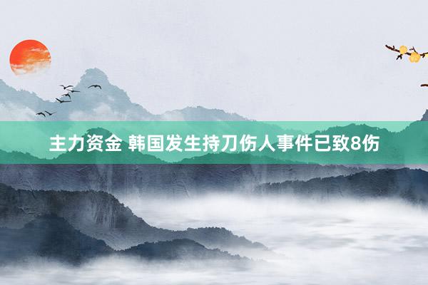 主力资金 韩国发生持刀伤人事件已致8伤